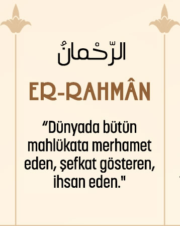 1730232229297.png