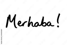 1730614015333.png