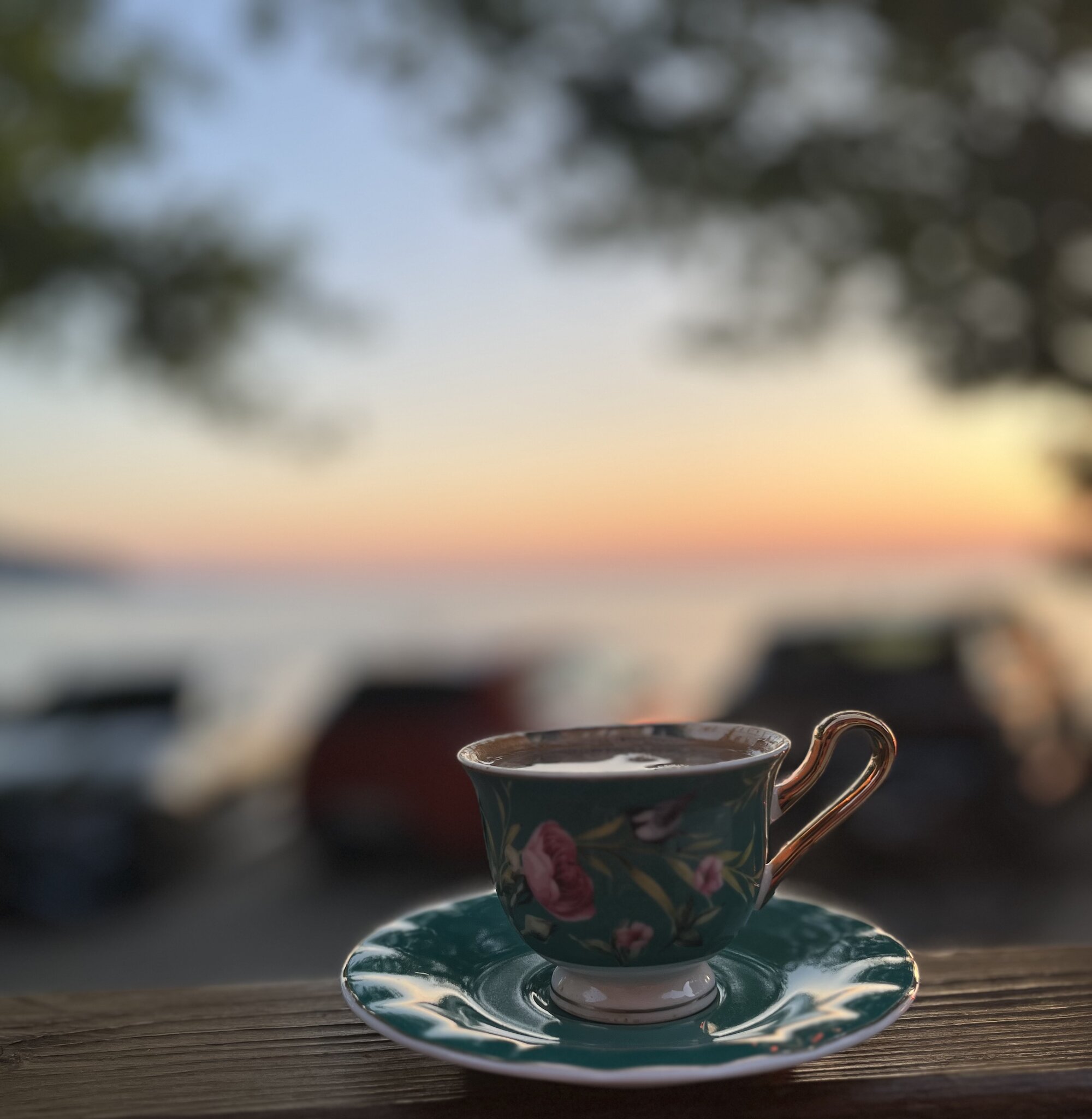 IMG_7294.jpeg