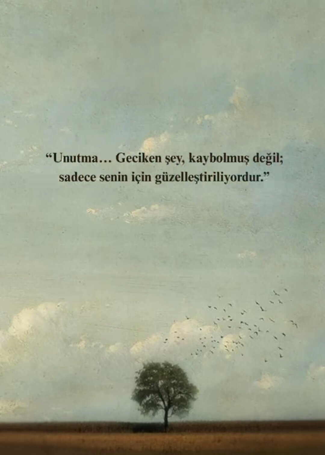 1000049112.jpg