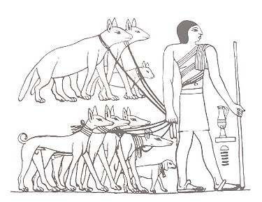 1756167753576.png