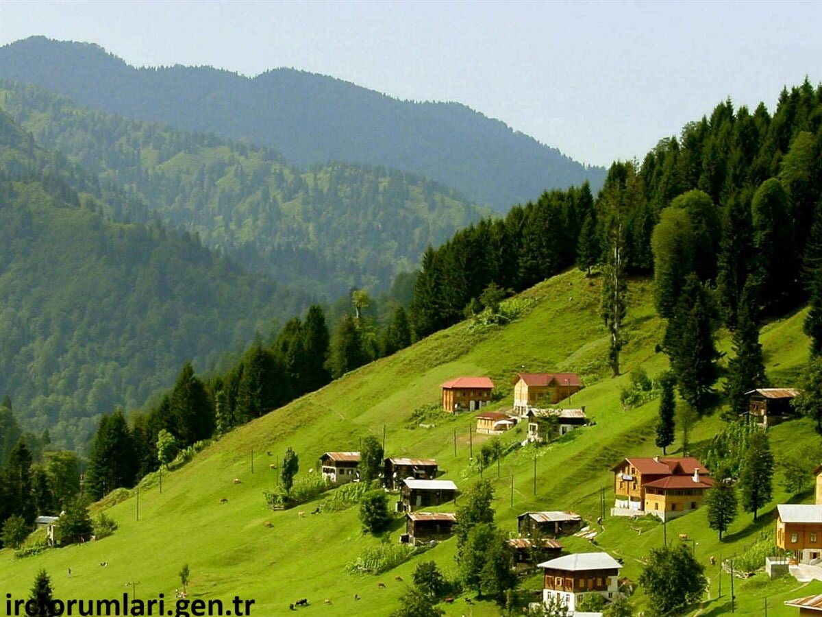 yayla.jpg yayla.jpg