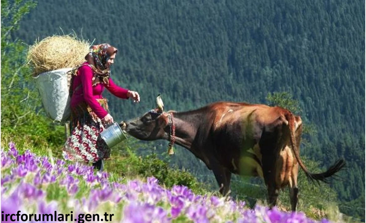 tarım.png tarım.png