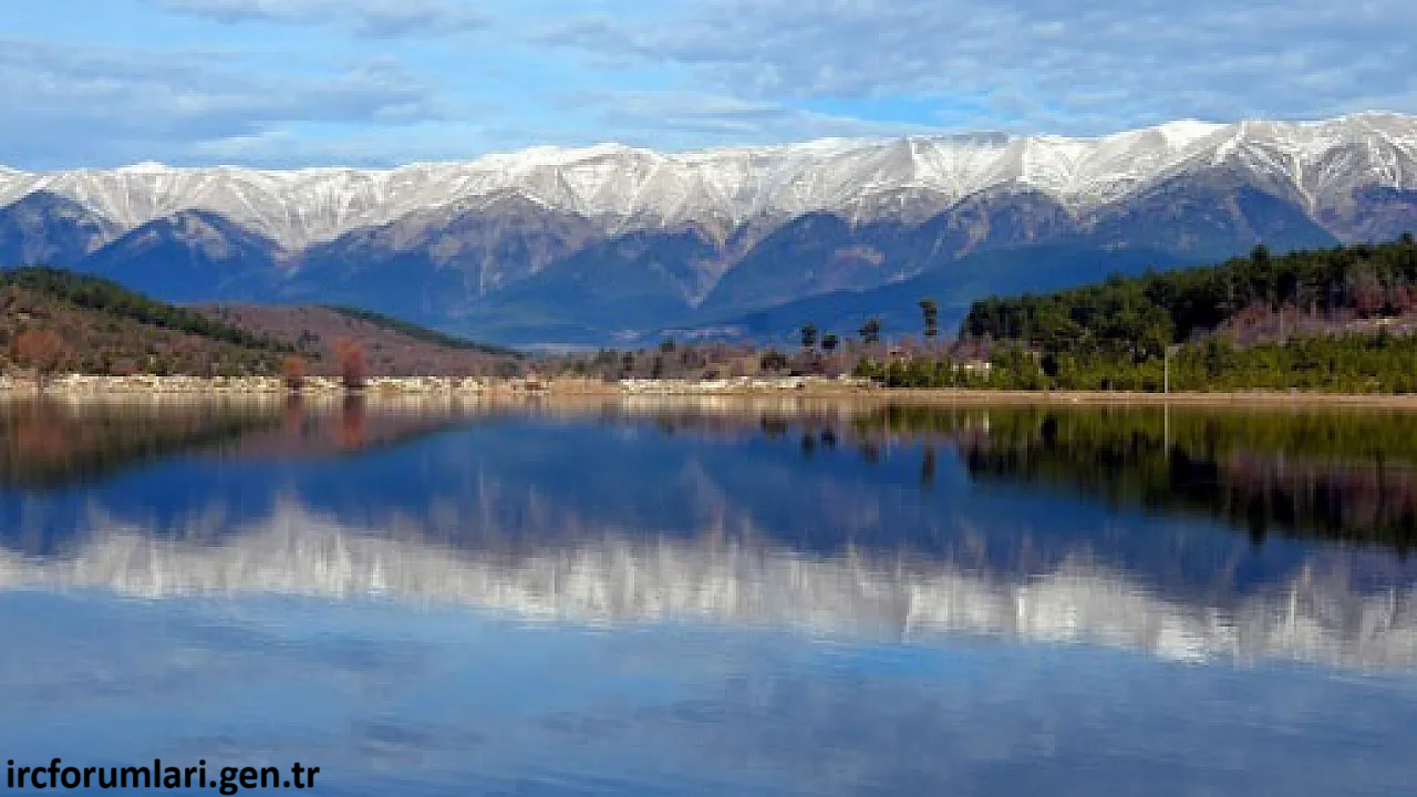 43642.png 43642.png
