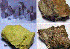 image001.gif