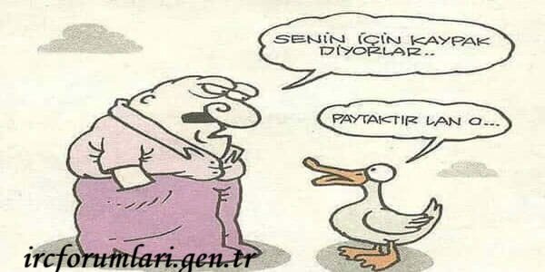 karikatur-hakkinda-bilgi.jpg