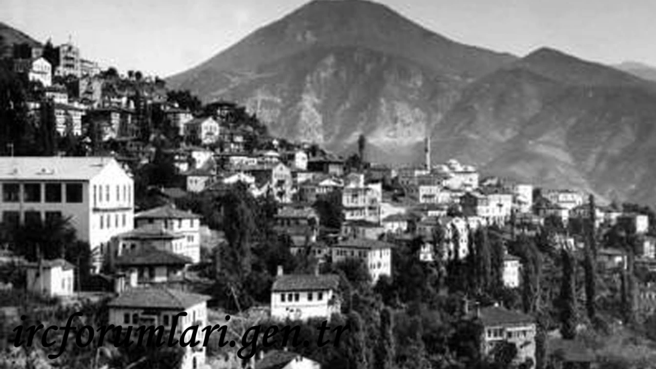 artvin.png artvin.png
