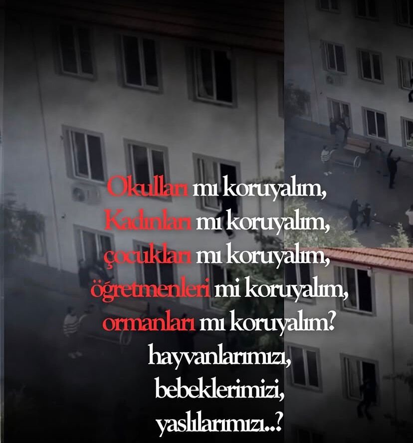 WhatsApp Image 2026-04-18 at 00.39.13.jpeg