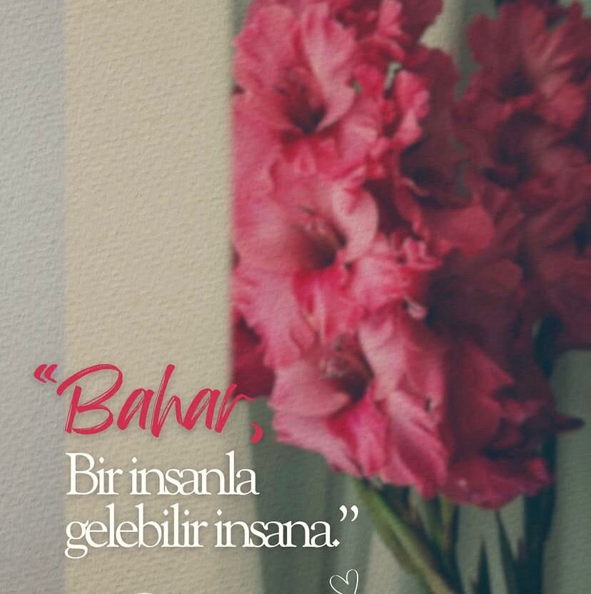 WhatsApp Image 2026-04-18 at 00.43.30.jpeg