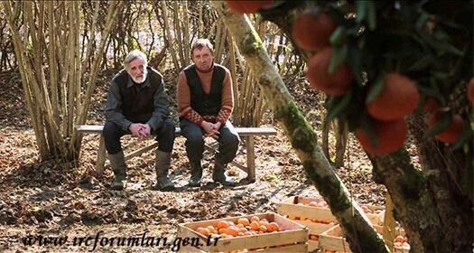 mandalina-bahçesi-filmi.jpg