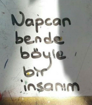 insan.PNG