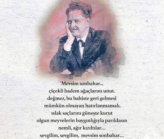 WhatsApp Image 2026-04-15 at 17.11.11.jpeg