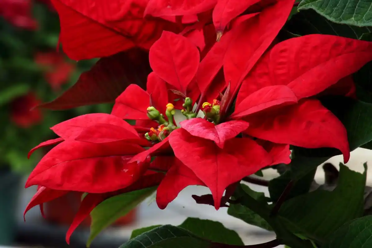 1777361887980.png 1777361887980.png