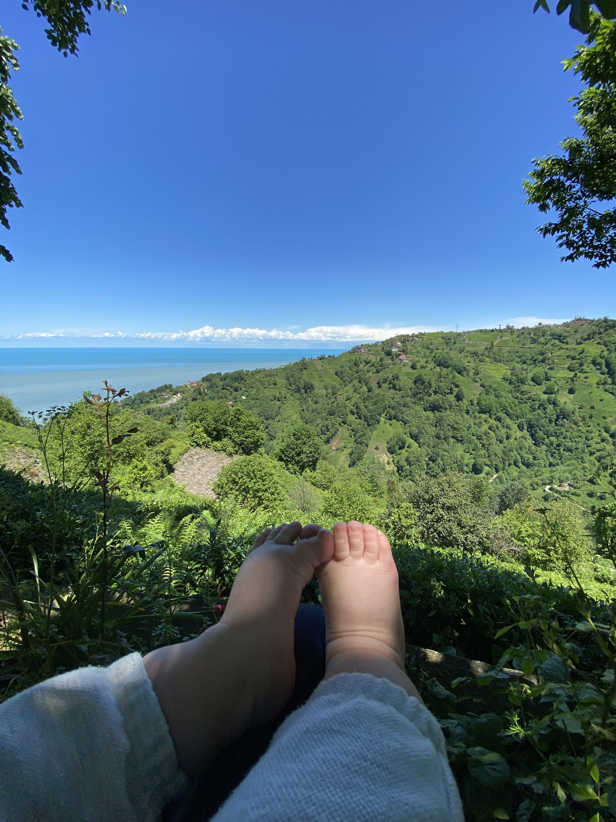 IMG_0748.jpeg